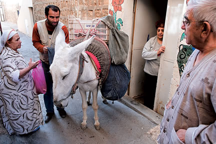 Mardin'de Dar Sokaklarn Yegane Tat